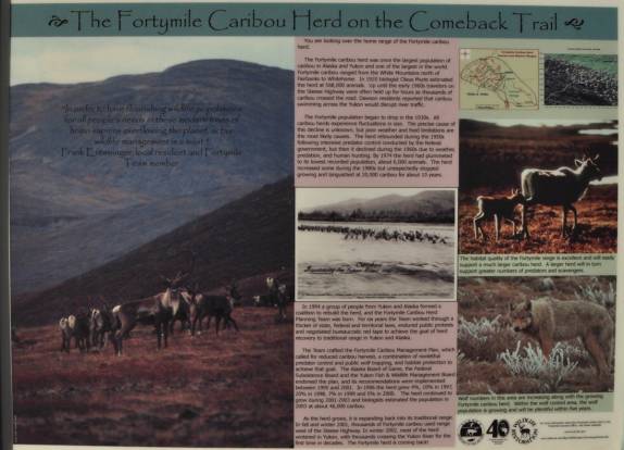 Placa informativa sobre os caribous, típico animal dessa parte do Alaska e do Canadá